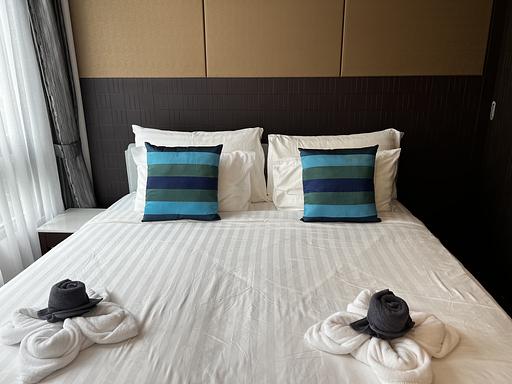 A1 313 - รูปภาพ 5