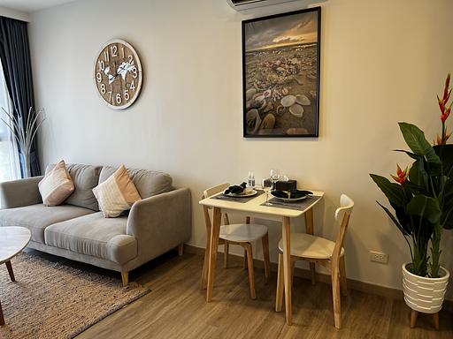 LSP 1523 - 照片 15