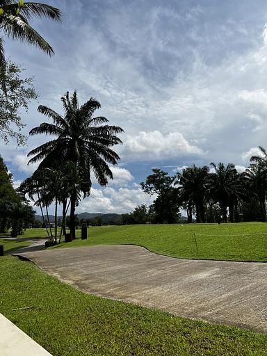 LSP 2205 - صورة 2