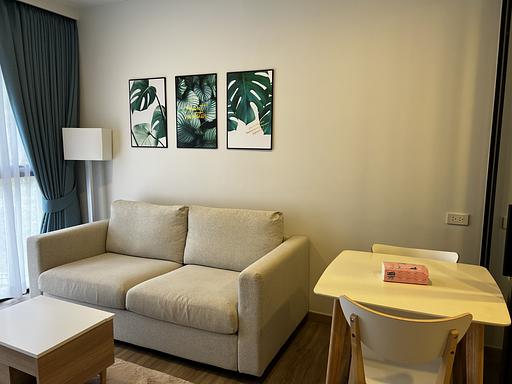 LSP 1310 - 照片 17