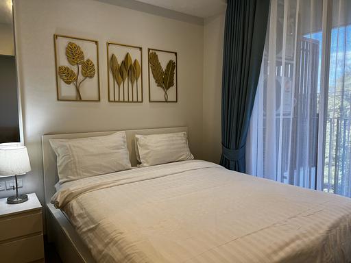 LSP 1323 - صورة 3