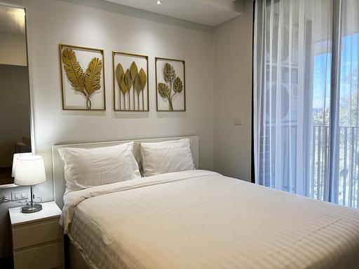 LSP 1524 - 照片 11