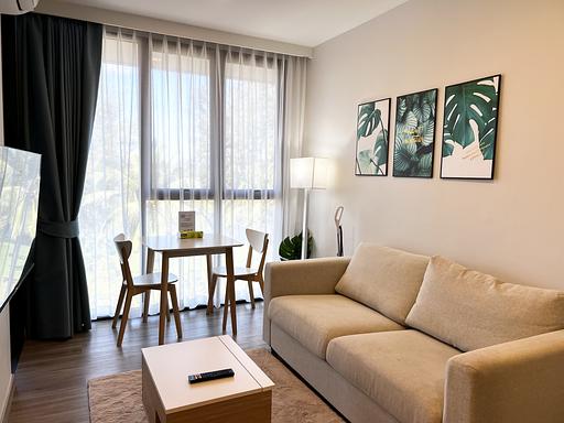 LSP 1524 - 照片 15