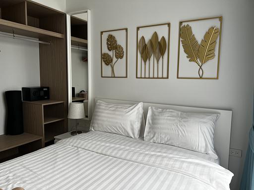 LSP 1608 - 照片 15