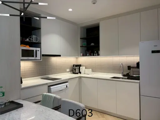 The Legendary D-603 (1 Plus) - Photo 1