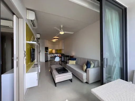 Cassia - Фото 7