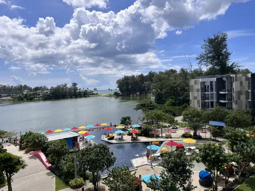 Cassia - รูปภาพ 1