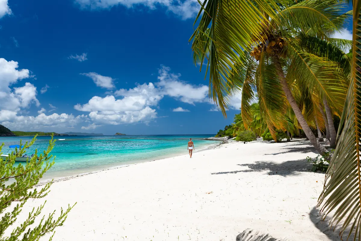 Coconut Island