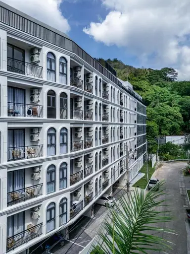 Palmetto Park 507 — 一卧室公寓，31.8 平方米 - 照片 9
